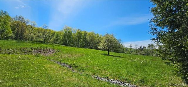 9003 County Hwy 28, Long Eddy, NY 12760