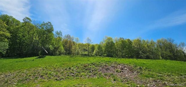 9003 County Hwy 28, Long Eddy, NY 12760