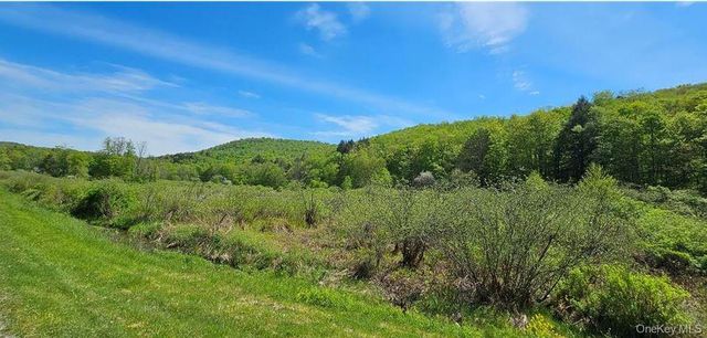 9003 County Hwy 28, Long Eddy, NY 12760