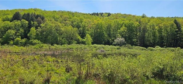 9003 County Hwy 28, Long Eddy, NY 12760