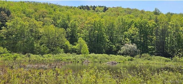 9003 County Hwy 28, Long Eddy, NY 12760