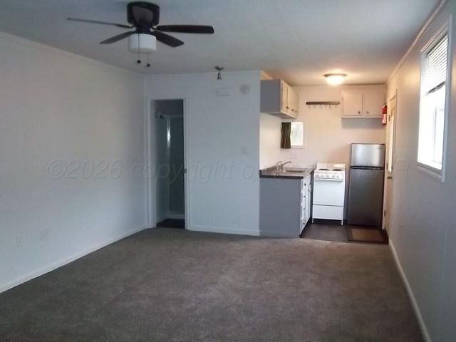 1005 S Milam Street, Amarillo, TX 79102