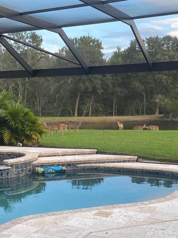 18408 BITTERN AVENUE, Lutz, FL 33558