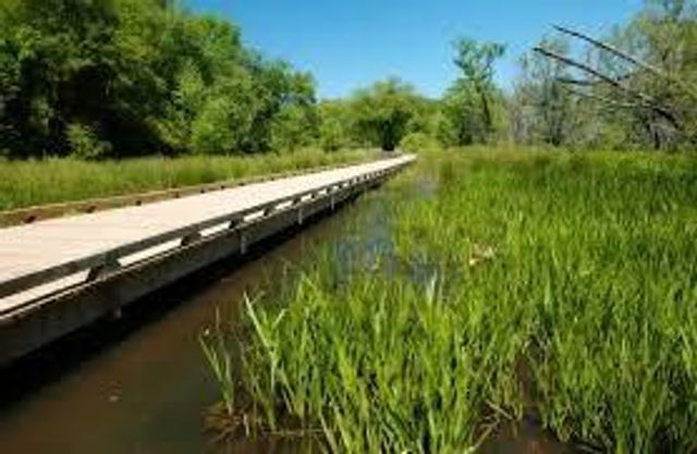 3207 Thompson Mill Road, Buford, GA 30519