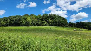 34978 SR 681 Road, (Tract 17 Albany Woods), Albany, OH 45710