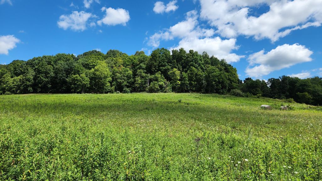 34978 SR 681 Road, (Tract 17 Albany Woods), Albany, OH 45710