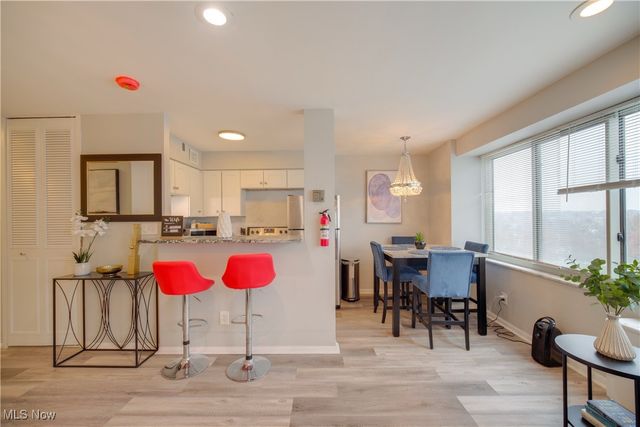 12520 Edgewater Drive 1203, Lakewood, OH 44107