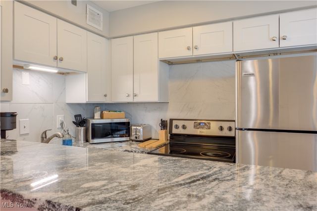 12520 Edgewater Drive 1203, Lakewood, OH 44107