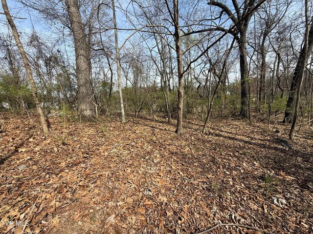 128 Shadowwood Lane, Elizabethton, TN 37643