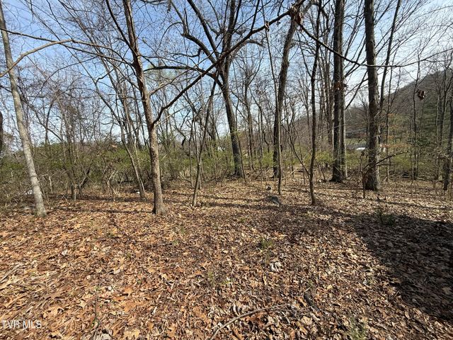 128 Shadowwood Lane, Elizabethton, TN 37643