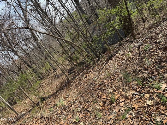 128 Shadowwood Lane, Elizabethton, TN 37643