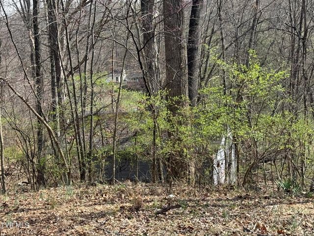 128 Shadowwood Lane, Elizabethton, TN 37643