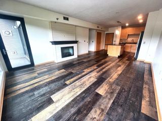 284 Spring Street 311, Saint Paul, MN 55102