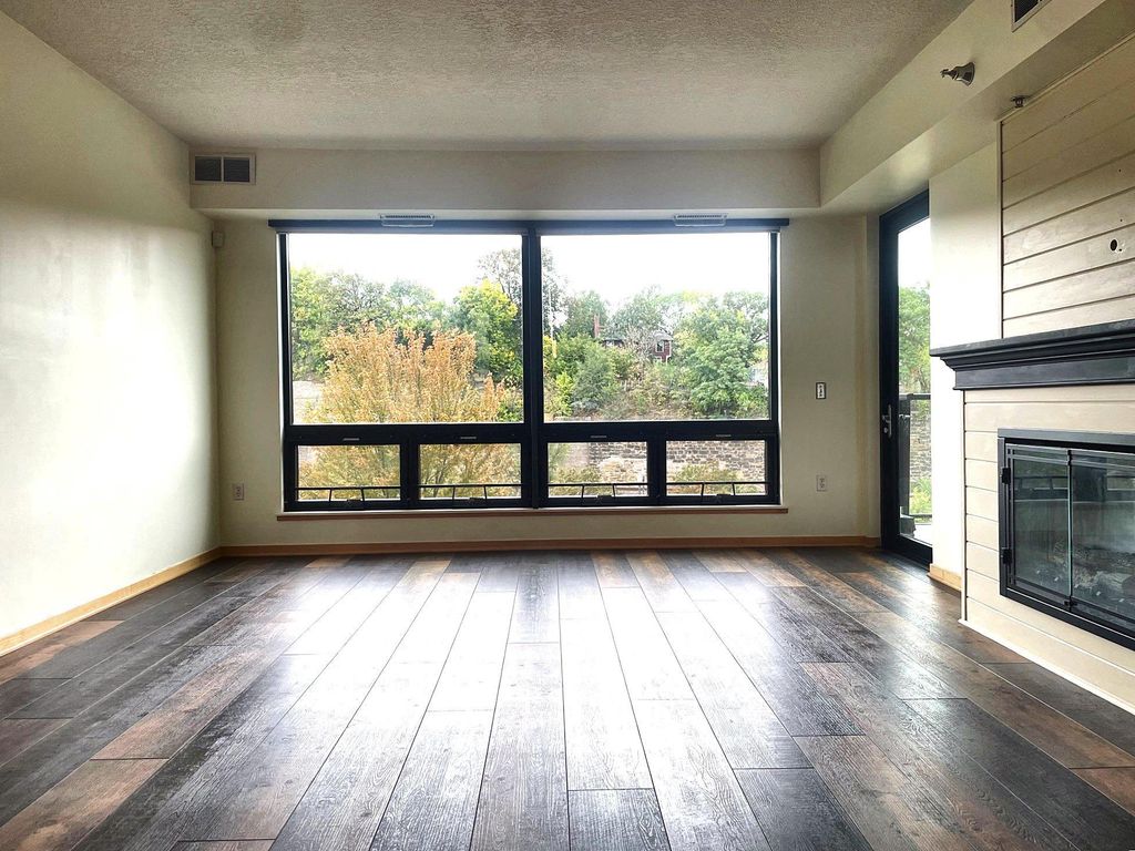284 Spring Street 311, Saint Paul, MN 55102 — photo 4