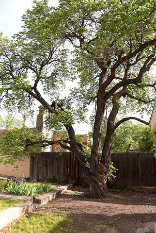 1303 Morelia Street, Santa Fe, NM 87505