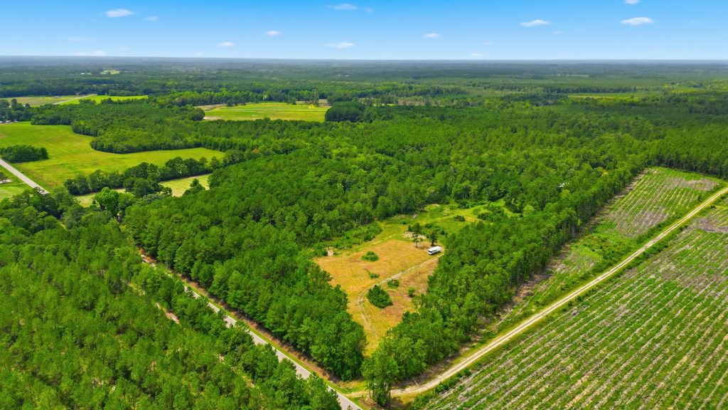 TBD Williams Hill Rd., Hemingway, SC 29554 — exterior