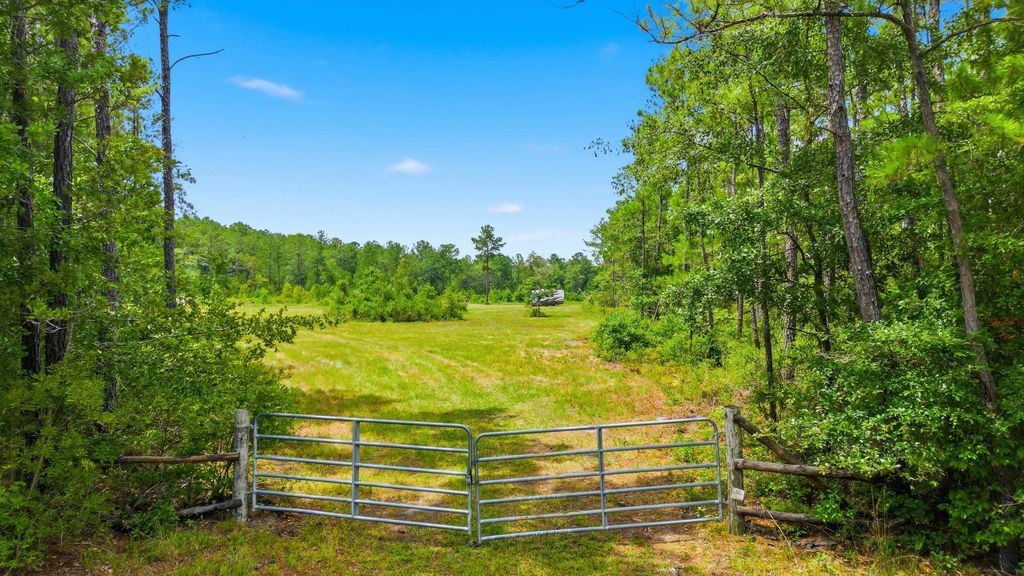 TBD Williams Hill Rd., Hemingway, SC 29554 — photo 4