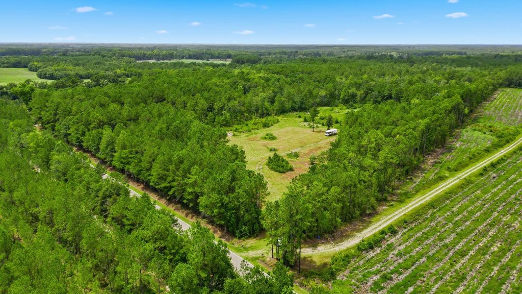 TBD Williams Hill Rd., Hemingway, SC 29554 — photo 5