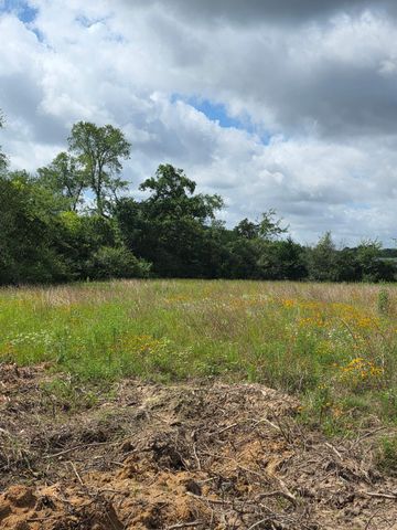 TBD LOT 13 County Road 201, Plantersville, TX 77363