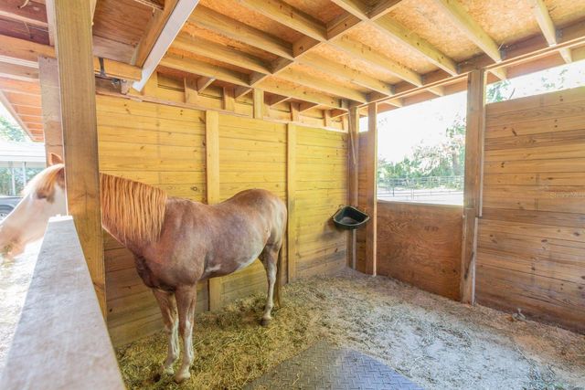 560 N LAKE PLEASANT ROAD, Apopka, FL 32712