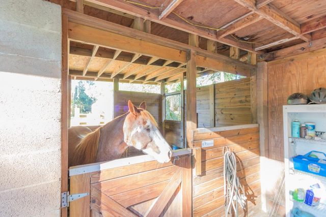 560 N LAKE PLEASANT ROAD, Apopka, FL 32712