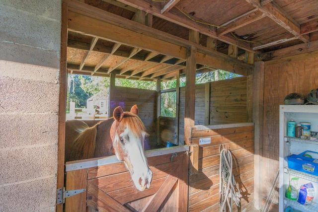 560 N LAKE PLEASANT ROAD, Apopka, FL 32712