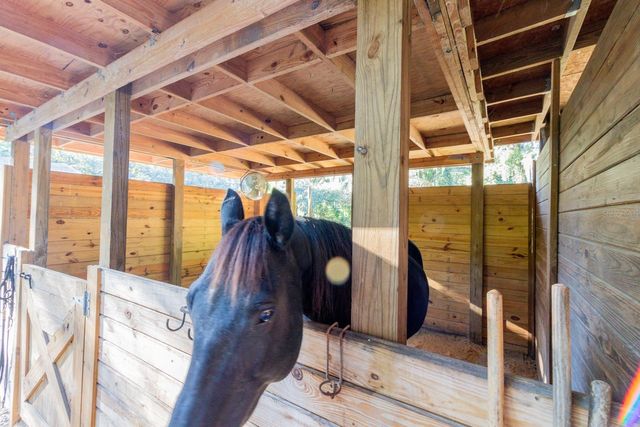 560 N LAKE PLEASANT ROAD, Apopka, FL 32712