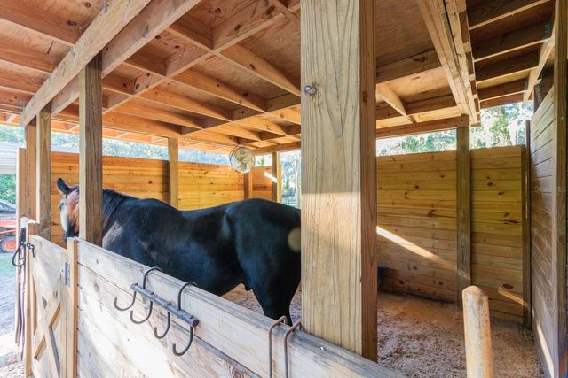 560 N LAKE PLEASANT ROAD, Apopka, FL 32712