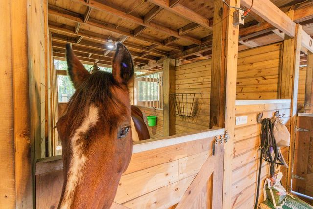 560 N LAKE PLEASANT ROAD, Apopka, FL 32712