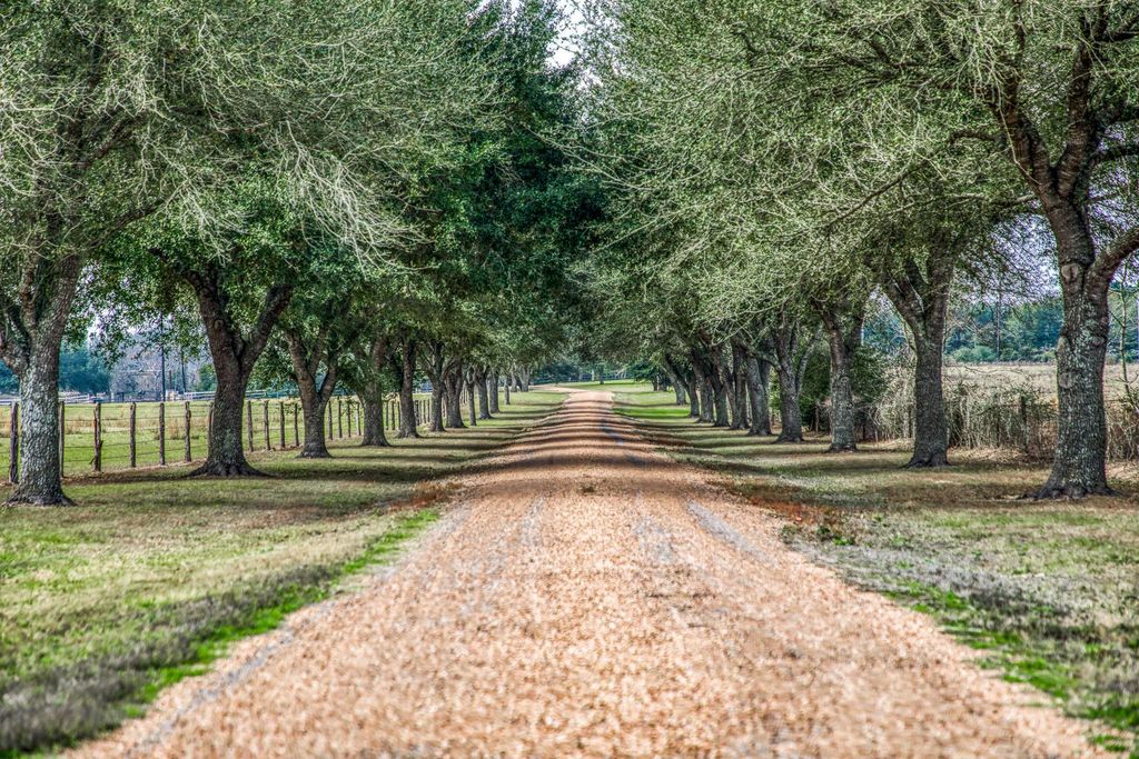16450 Mathis Road, Waller, TX 77484