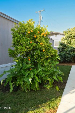 1075 Loma 5, Ojai, CA 93023