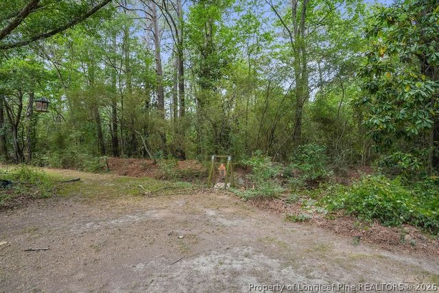 4119 Minnie Hall Road, Autryville, NC 28318