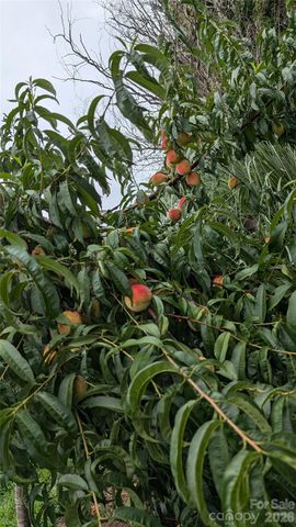 4308 Glenduran Lane, Waxhaw, NC 28173