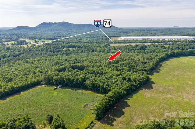 0 Goins Farm Road, Bessemer City, NC 28016