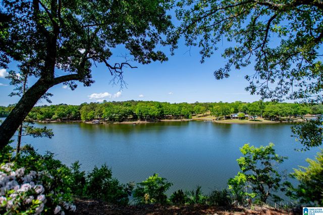 251 C-5 Pleasure Point Road C-5, Wedowee, AL 36278