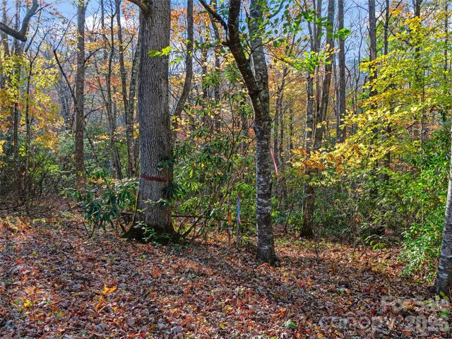 219 Raven Rock Lane, Burnsville, NC 28714