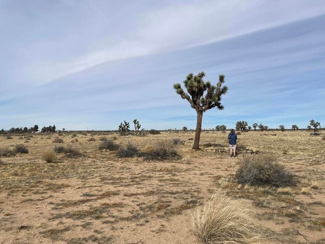 0 218th Street, Lancaster, CA 93536