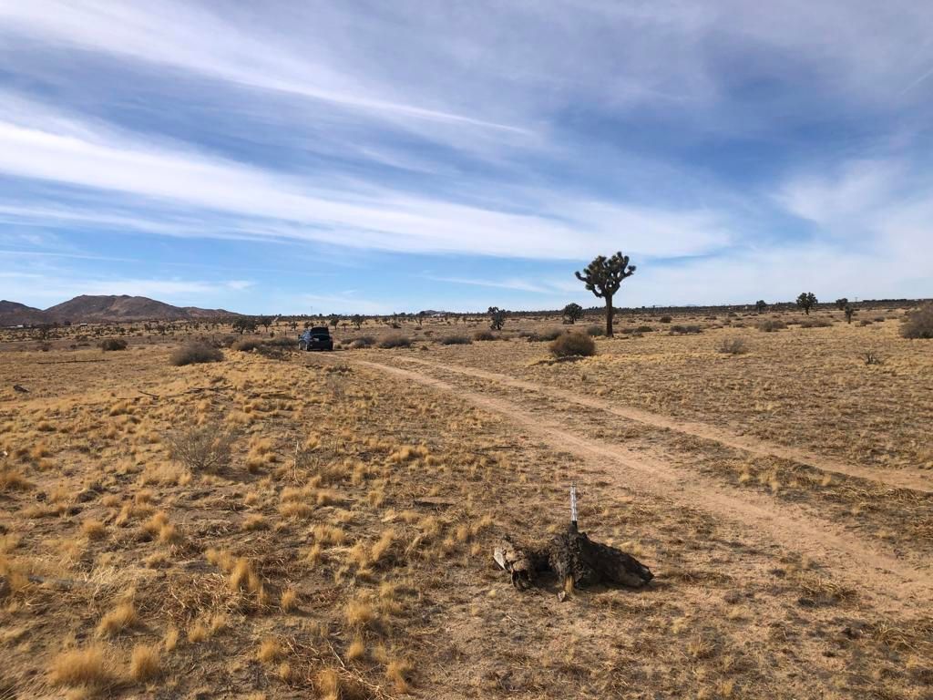 0 218th Street, Lancaster, CA 93536