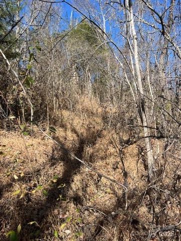 TBD Bend View Drive, Marshall, NC 28753