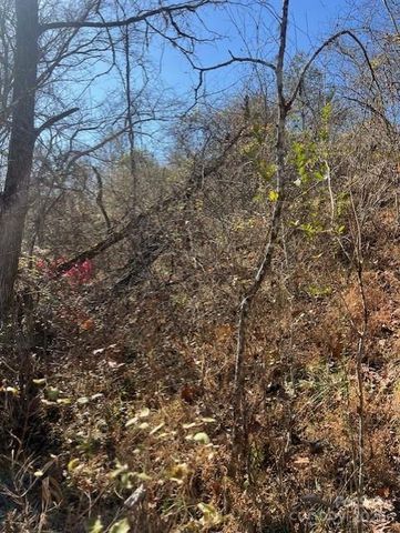 TBD Bend View Drive, Marshall, NC 28753