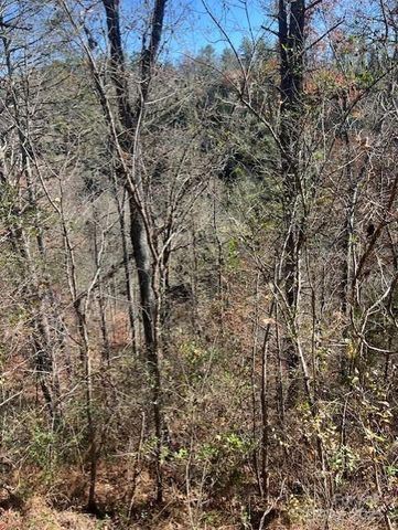 TBD Bend View Drive, Marshall, NC 28753