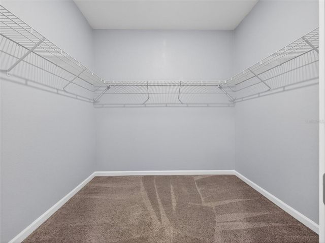 8053 CHERRYSTONE STREET, Leesburg, FL 34748