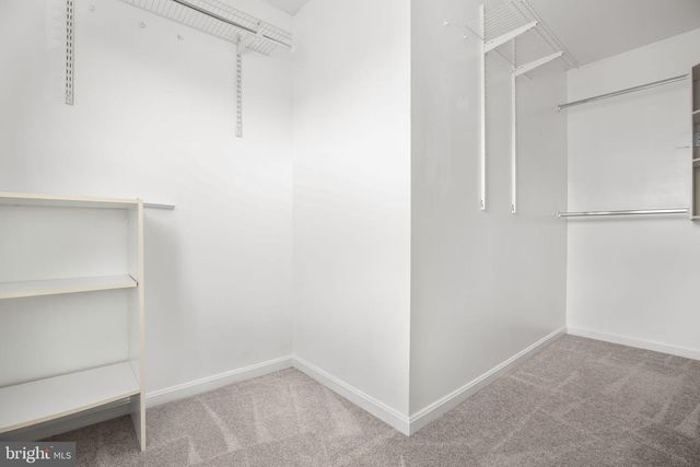 6203 N DANFORD ST, Fredericksburg, VA 22407