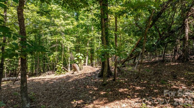152 Woodgate Trail 95, Nebo, NC 28761