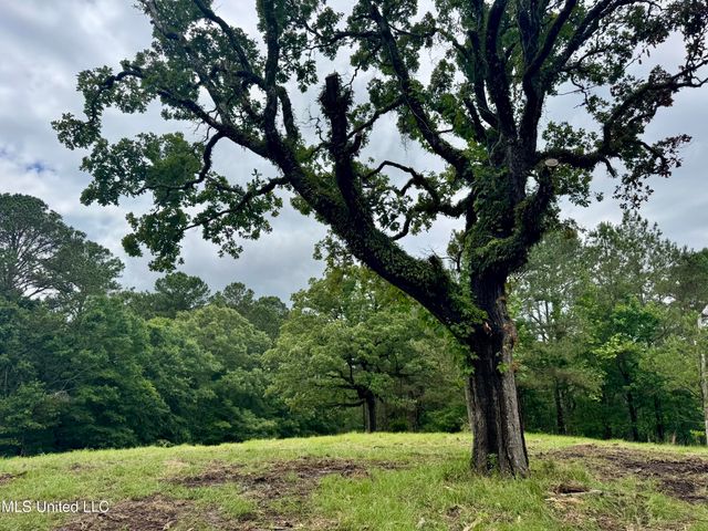493 Gus Green Road, Flora, MS 39071