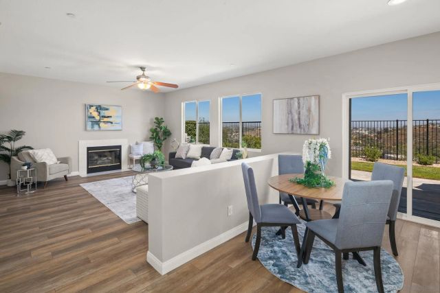 233 Petunia Ct, San Marcos, CA 92069