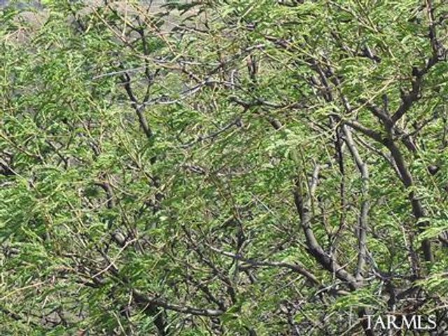 7 Vista Court 116, Patagonia, AZ 85624