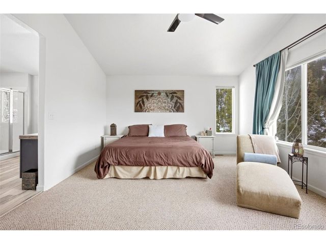 7291 Brook Forest Dr, Evergreen, CO 80439