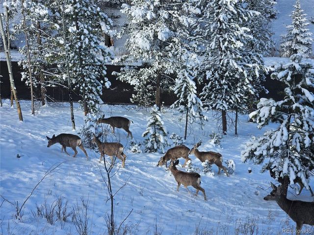 7291 Brook Forest Dr, Evergreen, CO 80439