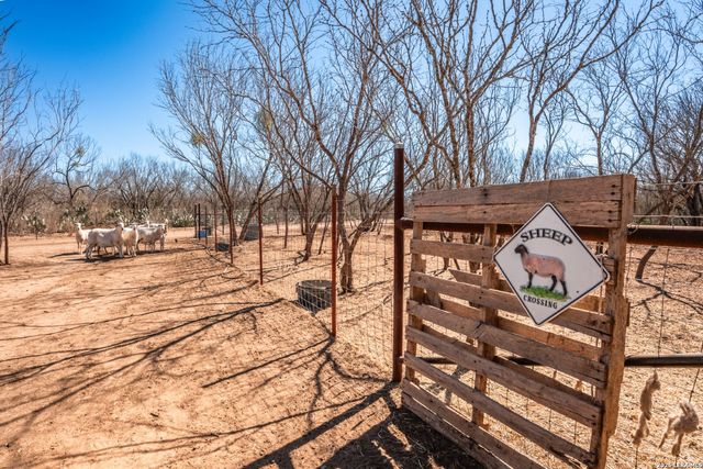 224 County Road 662, Devine, TX 78016